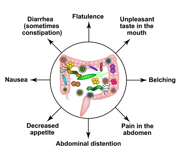 Gut Health Guide - Problems caused by an unhealthy gut microbiome