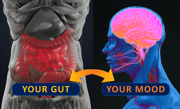 Gut Health Guide - gut-brain connection