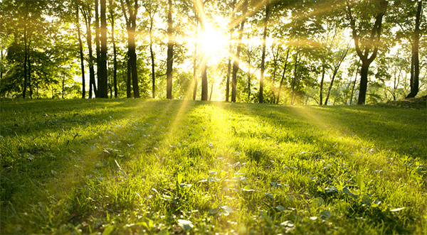 Spend at Least 15 Minutes Per Day Outdoors For A Deep Sleep