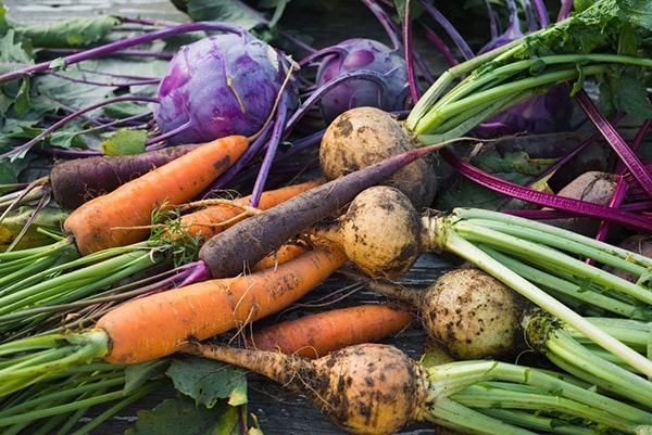 Seasonal Eating Benefits