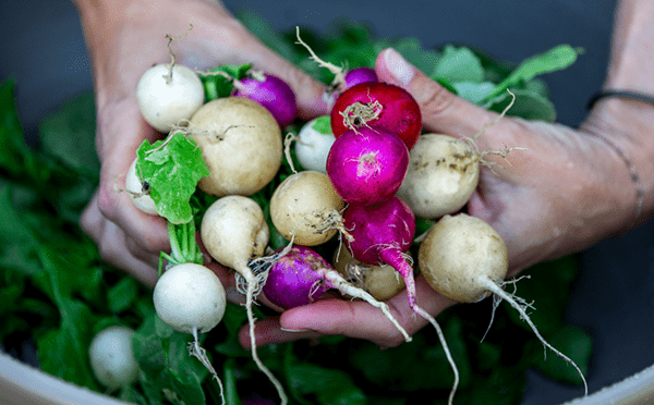 Seasonal Eating - Radishes