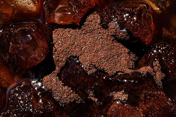 From Bioavailable To Bioactive: Getting The Most From Your Tea