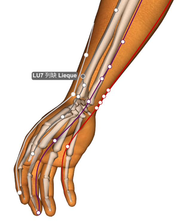 A TCM Approach to Supporting the Immune System - Lung 7