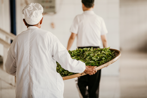 Which country produces the best tea?