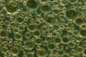 How Are Liposomes Made?