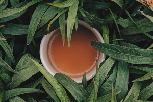 Which Teas Get You Tea Drunk?